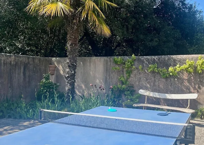 Le Petit Fauchon - Avec Vue *